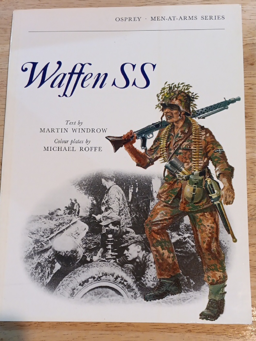 2/$10 Waffen SS By Martin Windrow